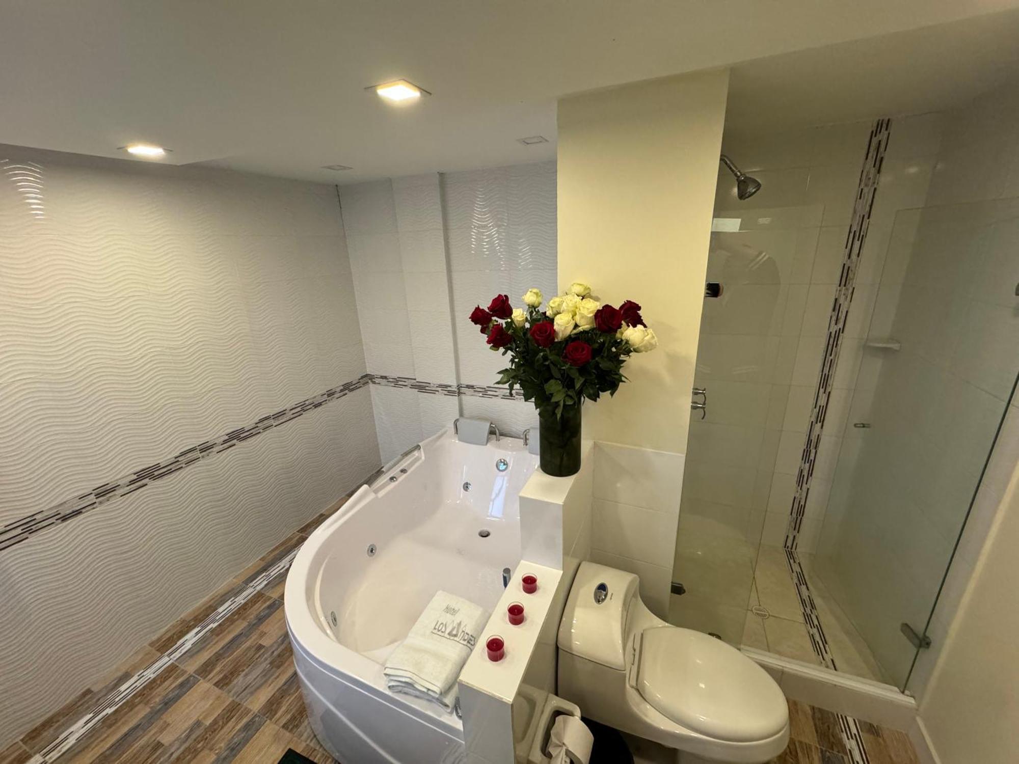 Hotel Los Andes 이피알레스 외부 사진